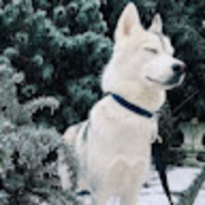 Meet your Posher, Steeley